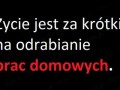 życie jest za krótkie