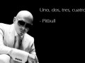 Pitbull