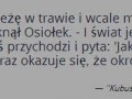 Osiołek