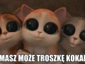 Troszeczkę