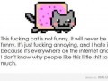 Cat 1