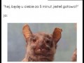 Problemy dziewczyn