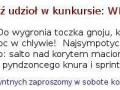 Konkurs