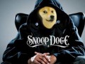 Snoop doge