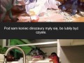 Żywe Dinozaury