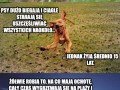 Życiowe Mądrości