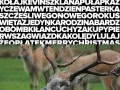 Świętaświętaświęta