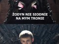 Żodyn