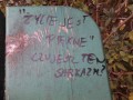Życie Jest Piękne