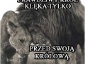 Życiowe I Prawdziwe