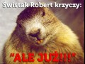 Świstak Robert D