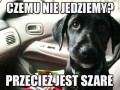 Światło Szare Proszę Jechać