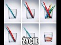 Życie 3