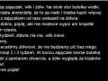 Żółwie Tempo