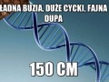 Ładna Buzia Duże Cycki Fajna Dupa