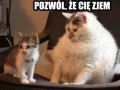 Łakomy Kąsek