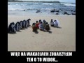 Ślub Pingiwnków