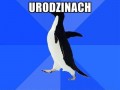 Śpiewaj