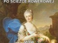 Ścieżki Rowerowe