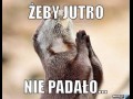 Żeby Jutro
