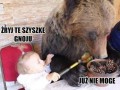 Żryj Szyszki