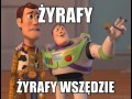 Żyrafy