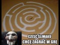 Ślimak Gramy