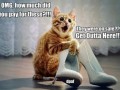 Świetne Buty