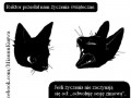 Życzenia 1