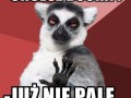 Łap Buszka