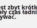 Życie Jest Za Krótkie