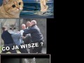 Co ja pacze wszystko 