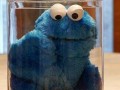 Cookies monster