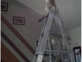 Co te koty o