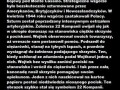 Wojtek polski miś wojak