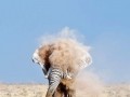 National geographic photo contest 2012