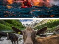 Nat1d4aional geographic  najlepsze zdjęcia tygodnia