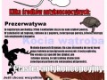 Wagina