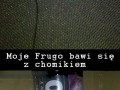 Frugo 2