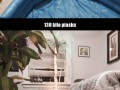Sposób na leniwego współlokatora
