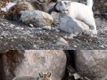 True friends