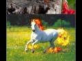 Pokemons