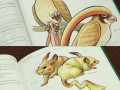 Field guide to kanto