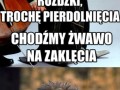 Rymowanki z pottera