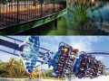 Rollercoaster
