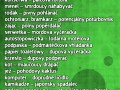 Czeski dla początkujących  tym razem na serio