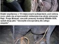 Historia słonia który spędził 50 lat w niewoli