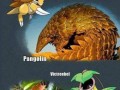 Pokemony