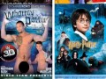 Kreatywność twórców porno