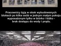 Przeczytaj do końca
